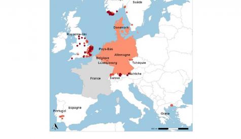 situation FCO 3 pays Européen hors France (situation France : cf autre actualité)