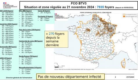 Situation sanitaire nationale FCO 3 au 21/11/2024