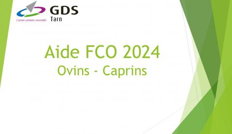 aide fco 2024