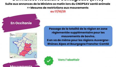 mesures mouvements 17_10_2025