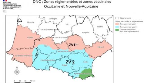 DNC situation Occitanie au 20_02_2026