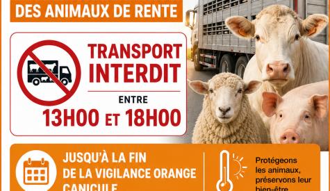 Affiche règlementation transport animaux élevage